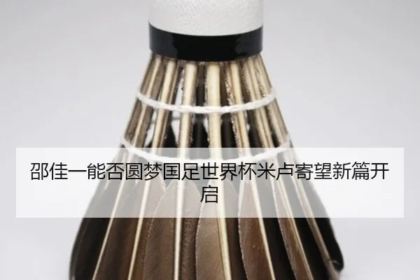 邵佳一能否圆梦国足世界杯米卢寄望新篇开启